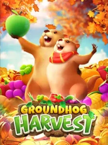 groundhog-harvest